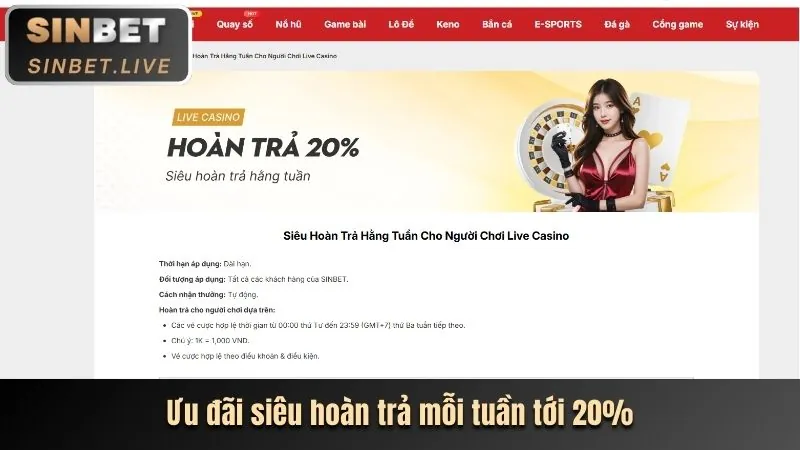 Giải mã các chương trình khuyến mãi và phúc lợi mới nhất của vip 79 win